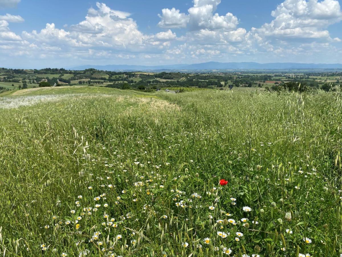 סיינה Agriturismo La Collina מראה חיצוני תמונה