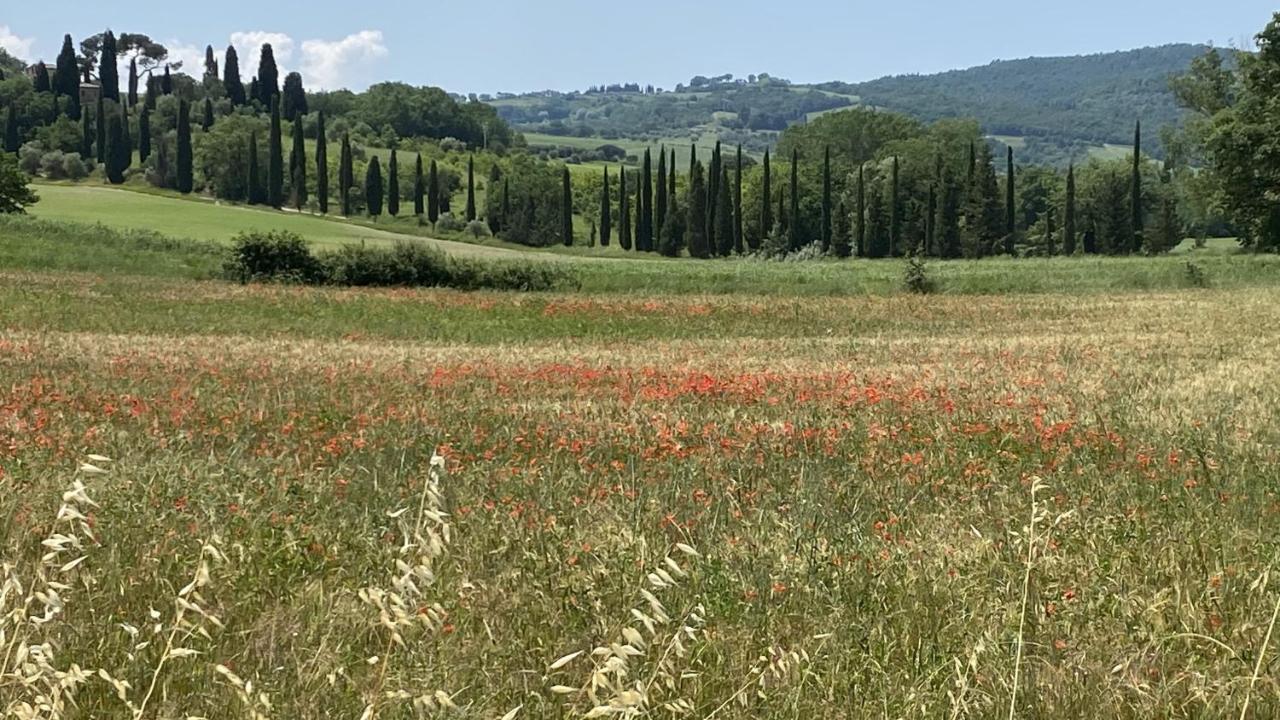 סיינה Agriturismo La Collina מראה חיצוני תמונה