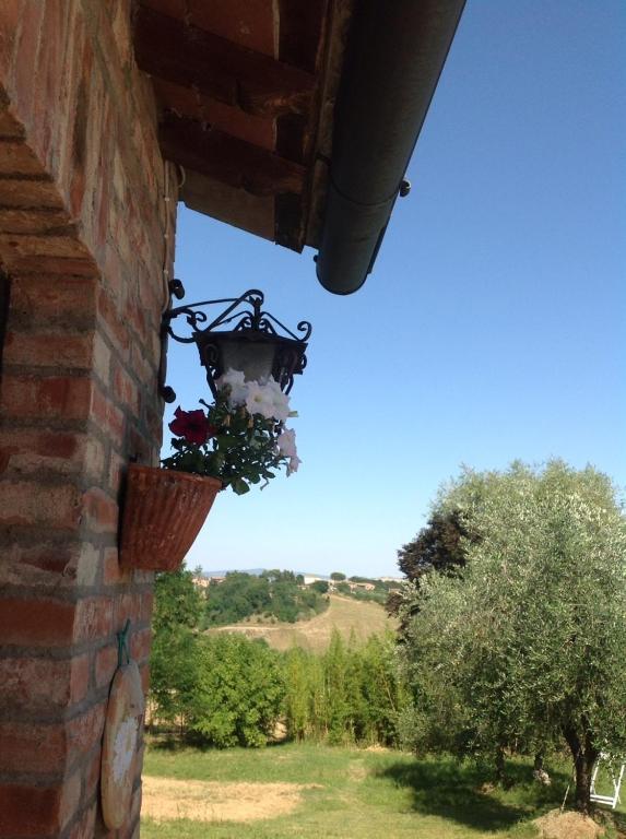 סיינה Agriturismo La Collina מראה חיצוני תמונה